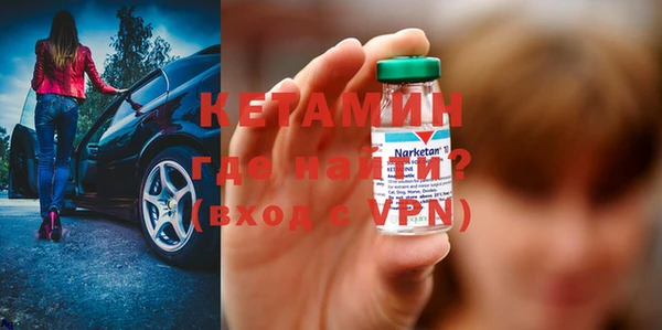 трава Сясьстрой
