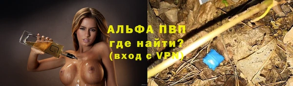 сатива Вяземский
