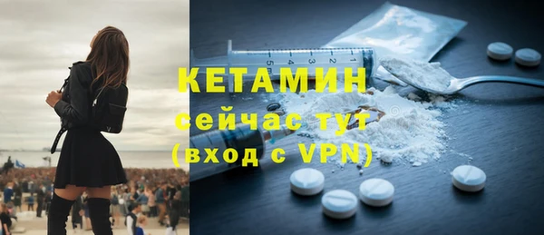 трава Сясьстрой