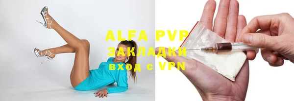 прущие крисы Тайга