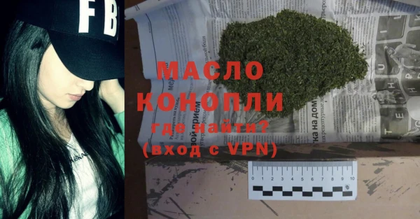 сатива Вяземский