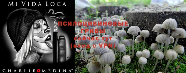 MESCALINE Волоколамск