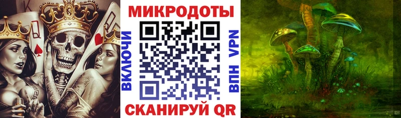 Псилоцибиновые грибы Magic Shrooms  Дмитриев 