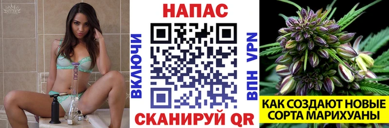 Шишки марихуана марихуана Дмитриев